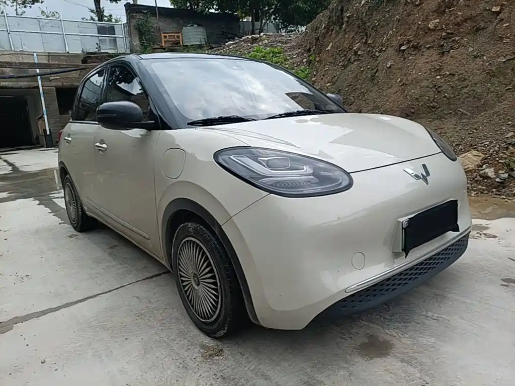 Wuling Binguo 2023 333km +