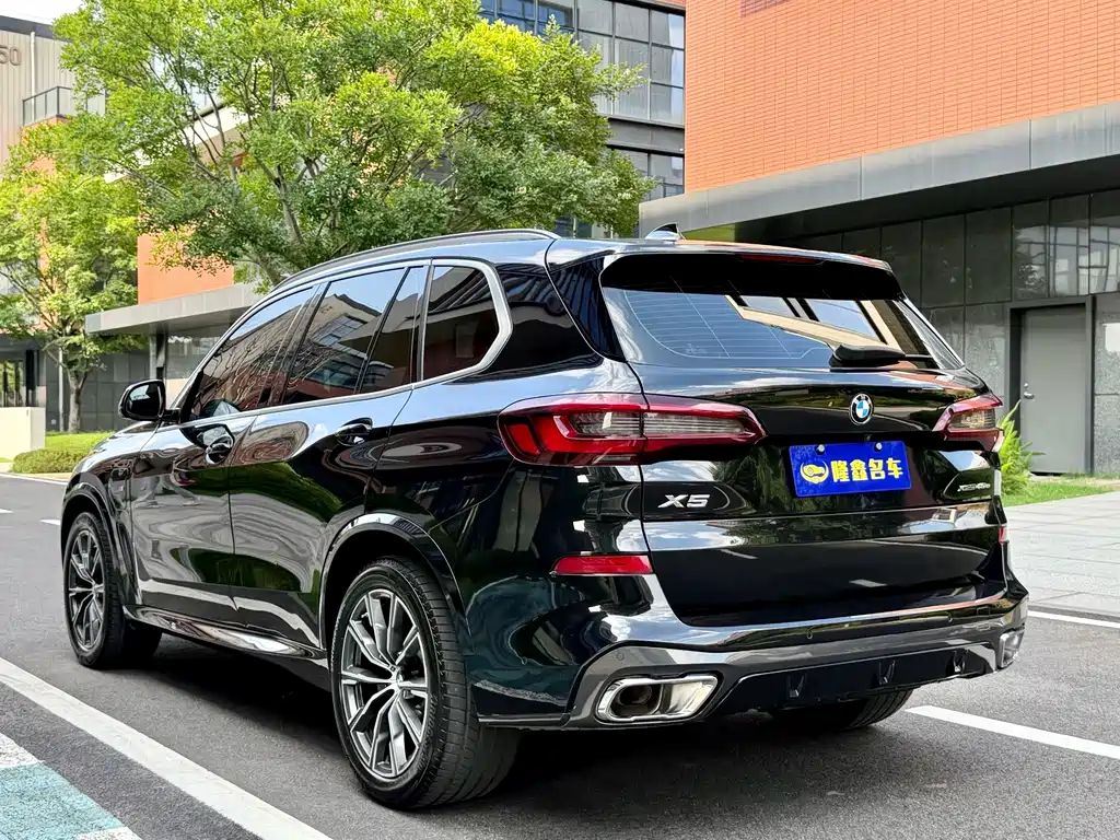 BMW X5 New Energy (Import) — миниатюра 5