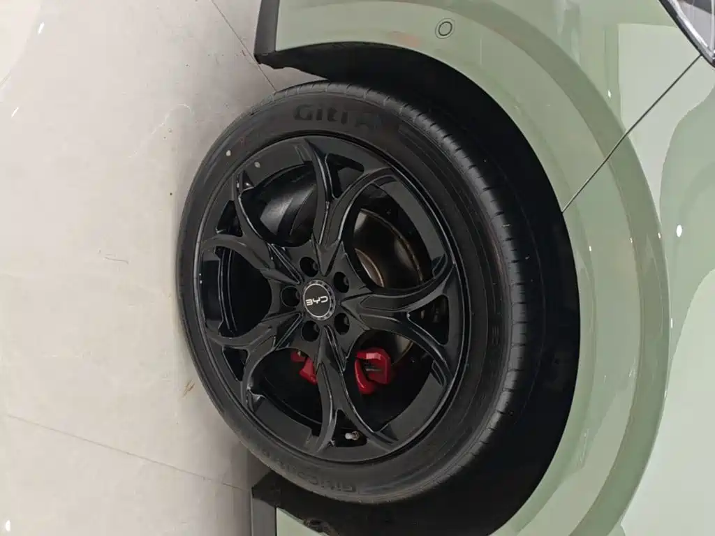BYD Seal 06GT — миниатюра 23