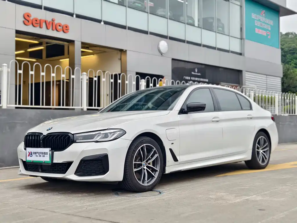 BMW 5 Series New Energy 2020