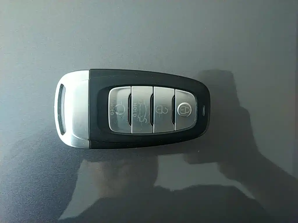 Hongqi Hongqi E-HS9 — миниатюра 9