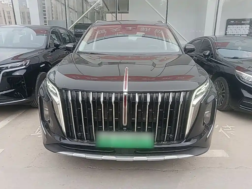 Hongqi Hongqi HS7 PHEV — миниатюра 3