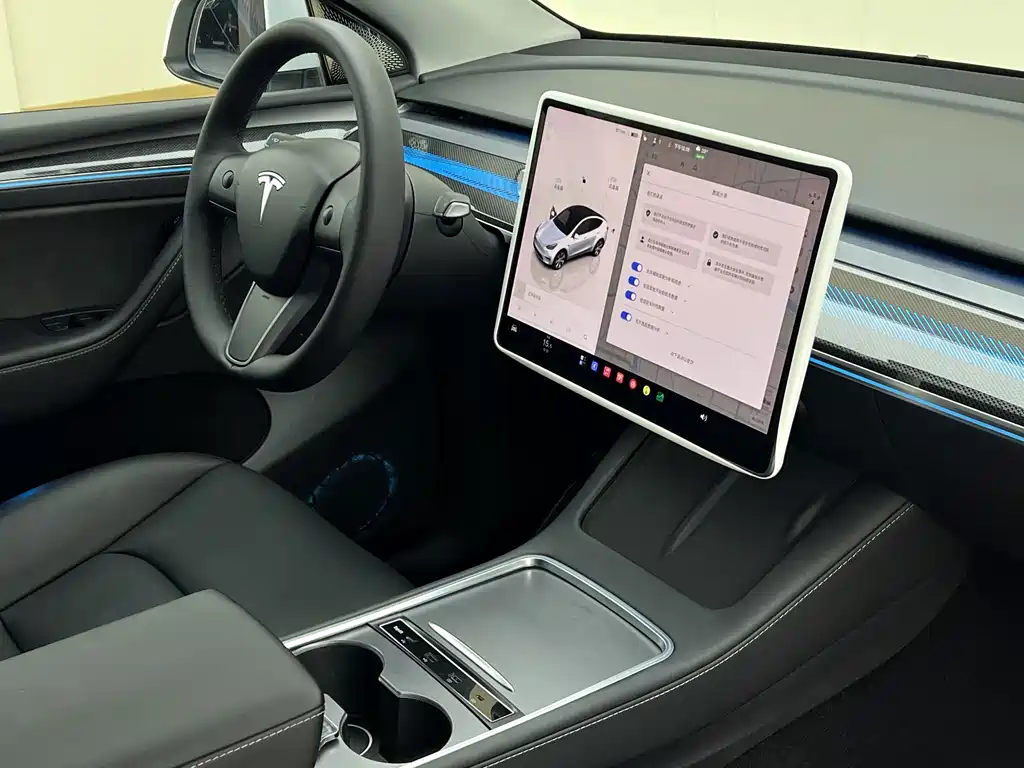 Tesla Model Y — миниатюра 15
