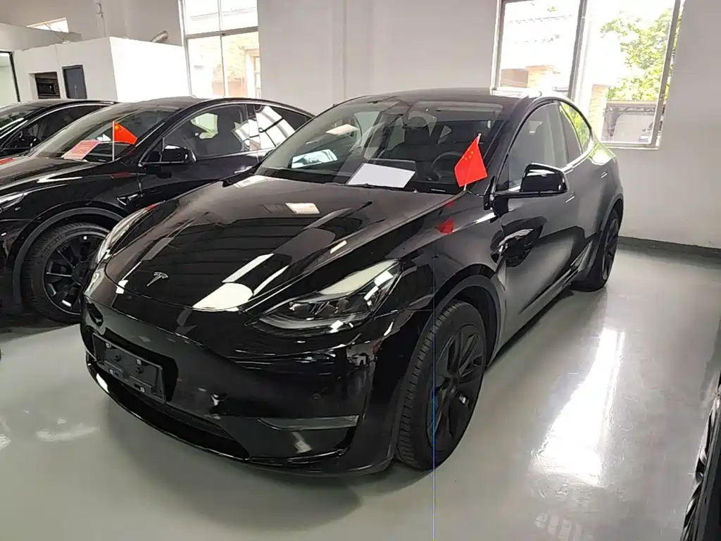 Tesla Model Y — миниатюра 2