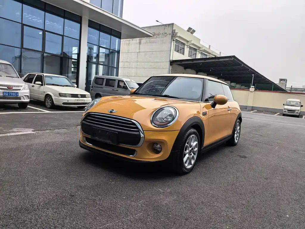 Mini Mini 2018