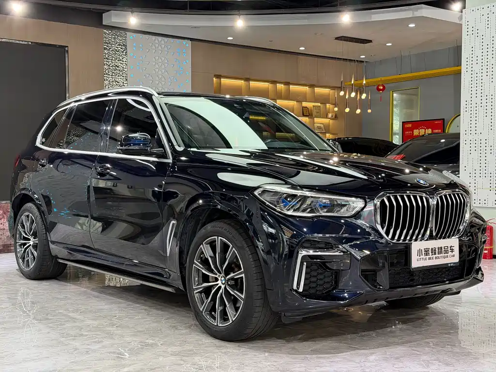 BMW X5 — миниатюра 3