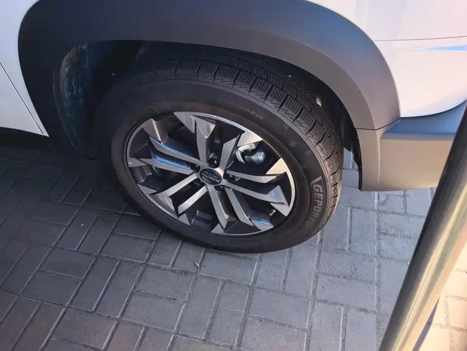 Haval 长城大狗 — миниатюра 6