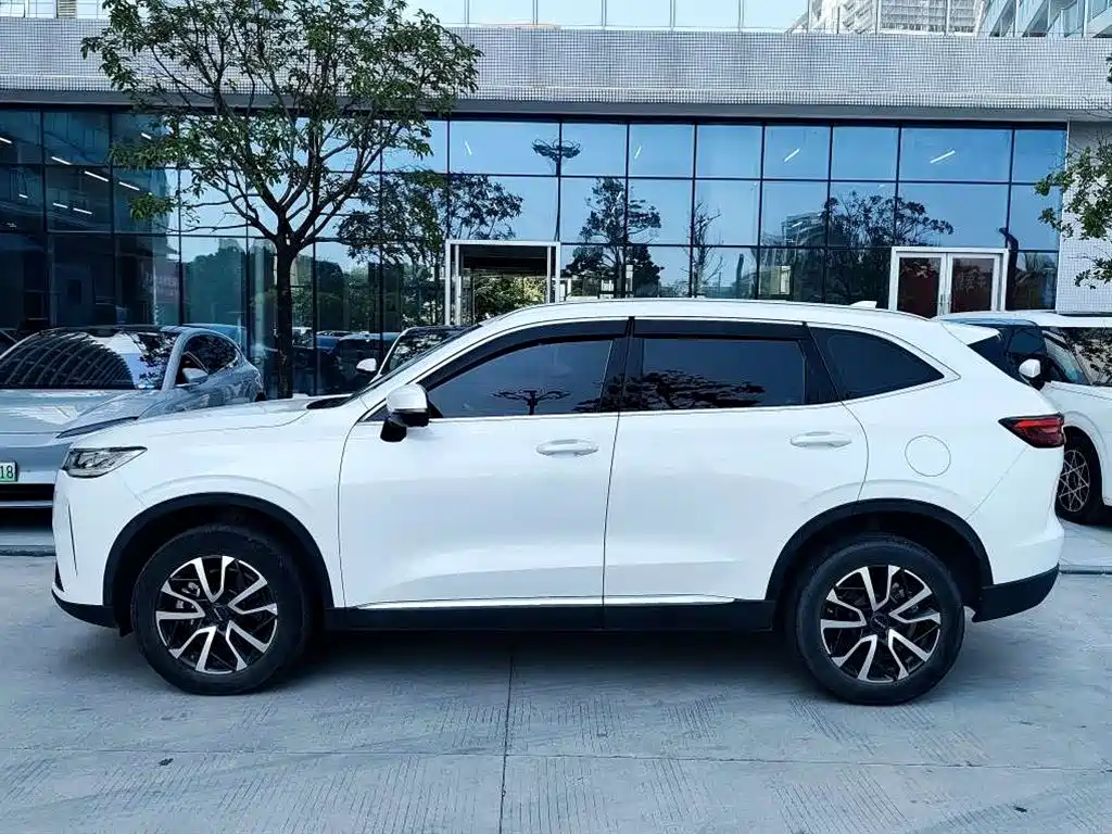 Haval H6 — миниатюра 3