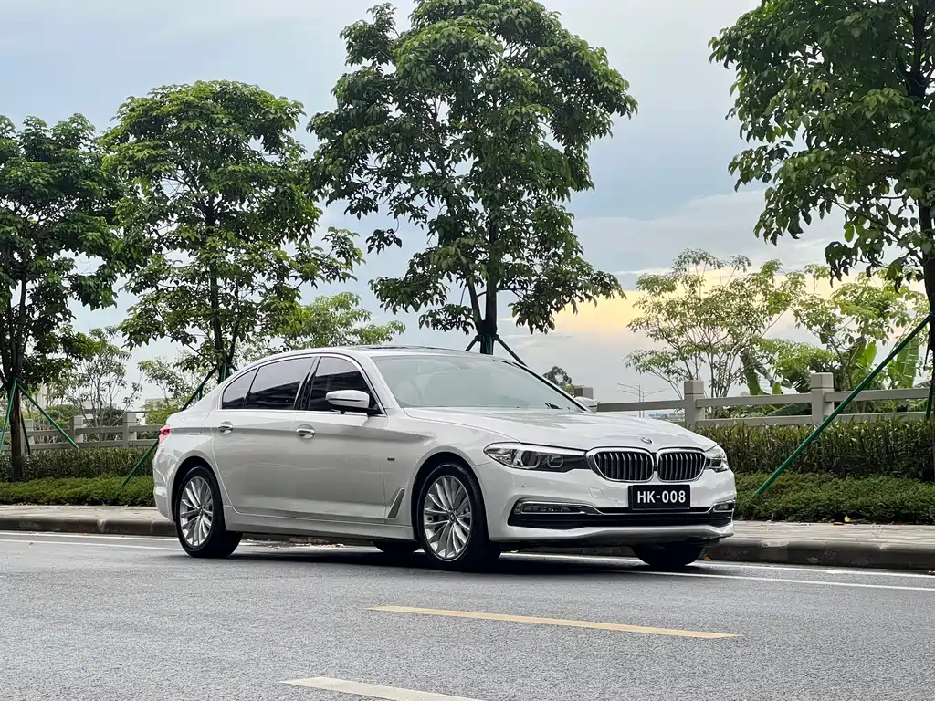BMW 5 Series 5 2018 530Li Lead Luxury