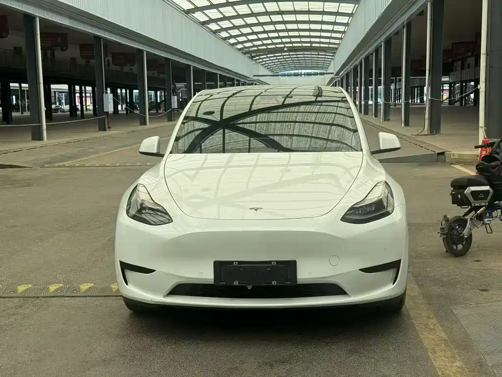 Tesla Model Y — миниатюра 2