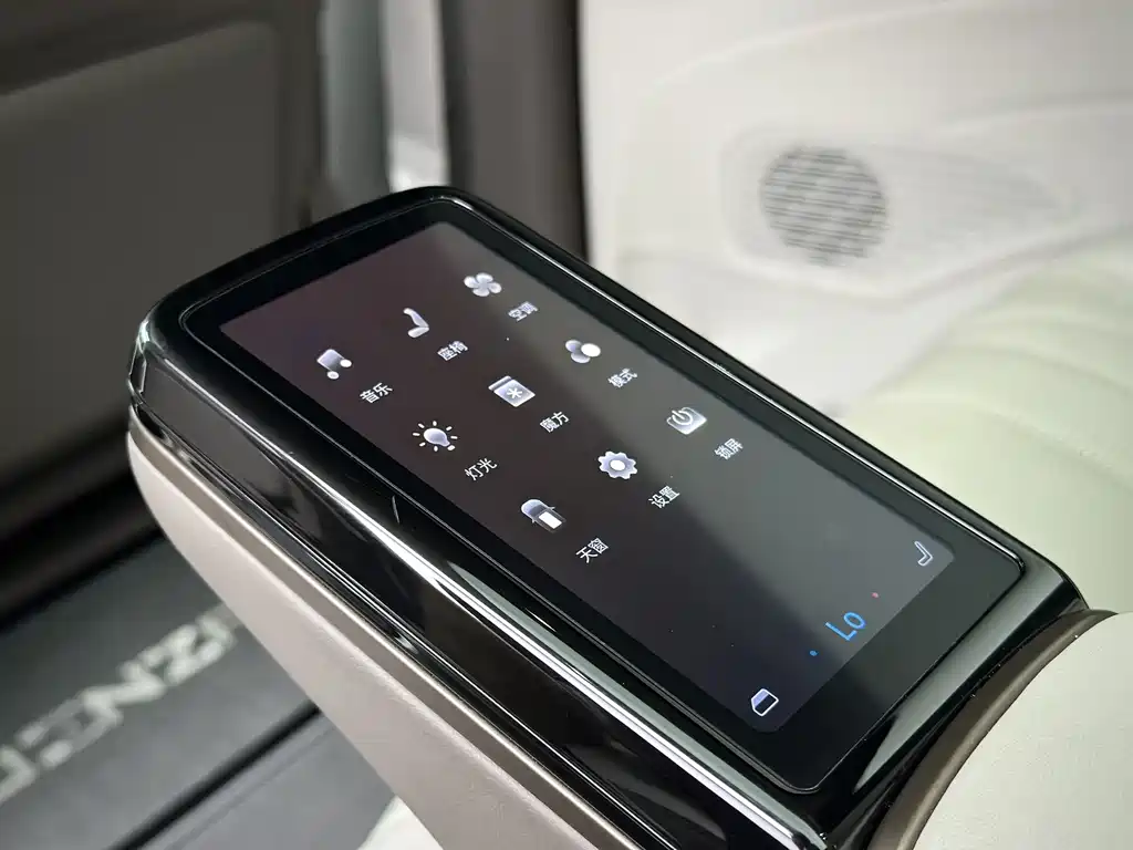 Denza Denza D9 — миниатюра 13