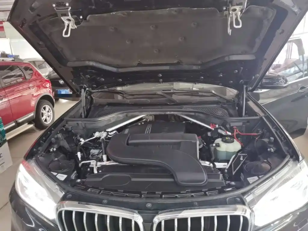 BMW X5 (Import) — миниатюра 20