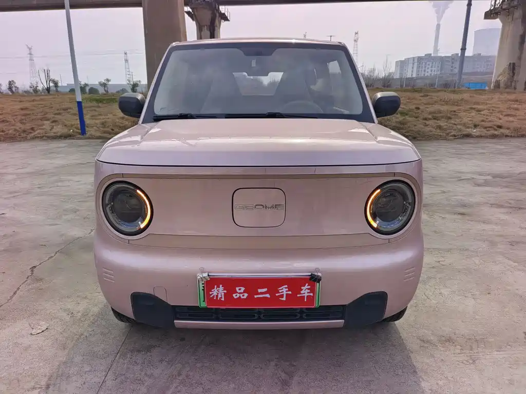 GEELY GALAXY PANDA