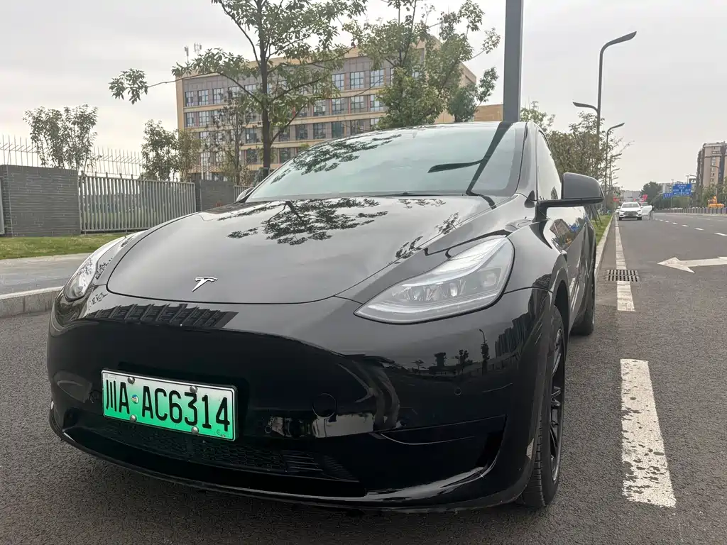 Tesla Model Y — миниатюра 12
