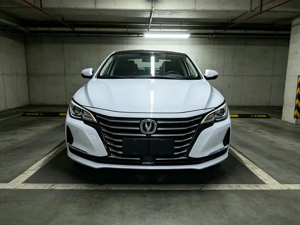 Changan Ruicheng CC 2020