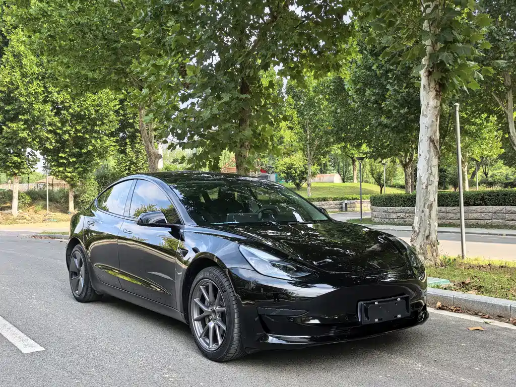 Tesla Model 3 — миниатюра 3