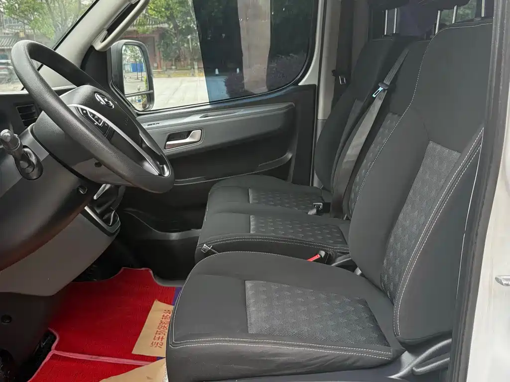 MAXUS V80 — миниатюра 10