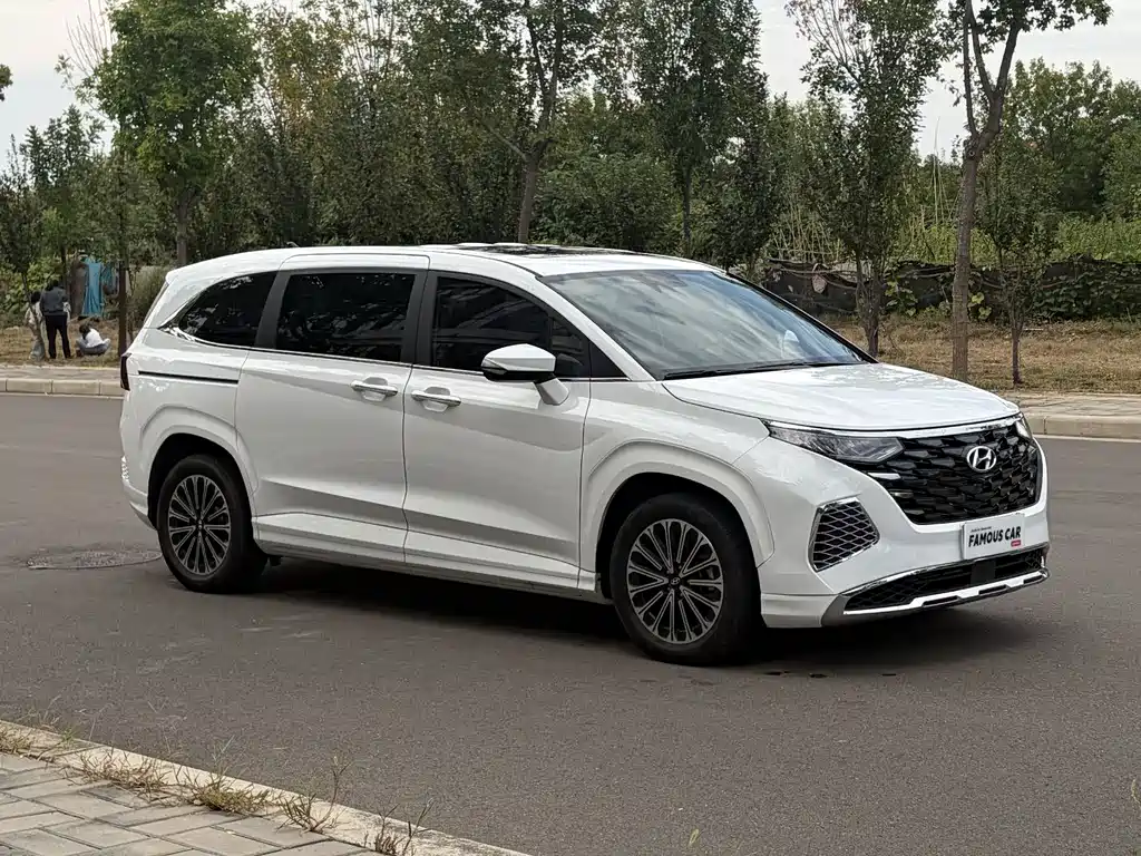 Hyundai Custo — миниатюра 3