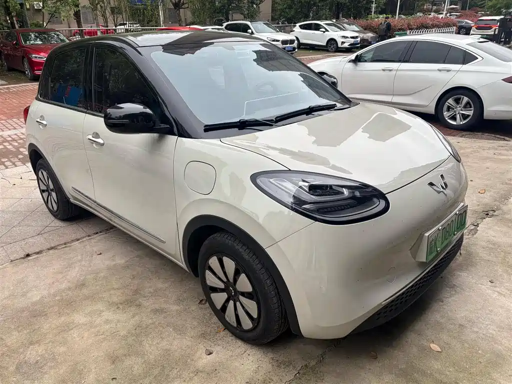 Wuling Binguo 2024 333km