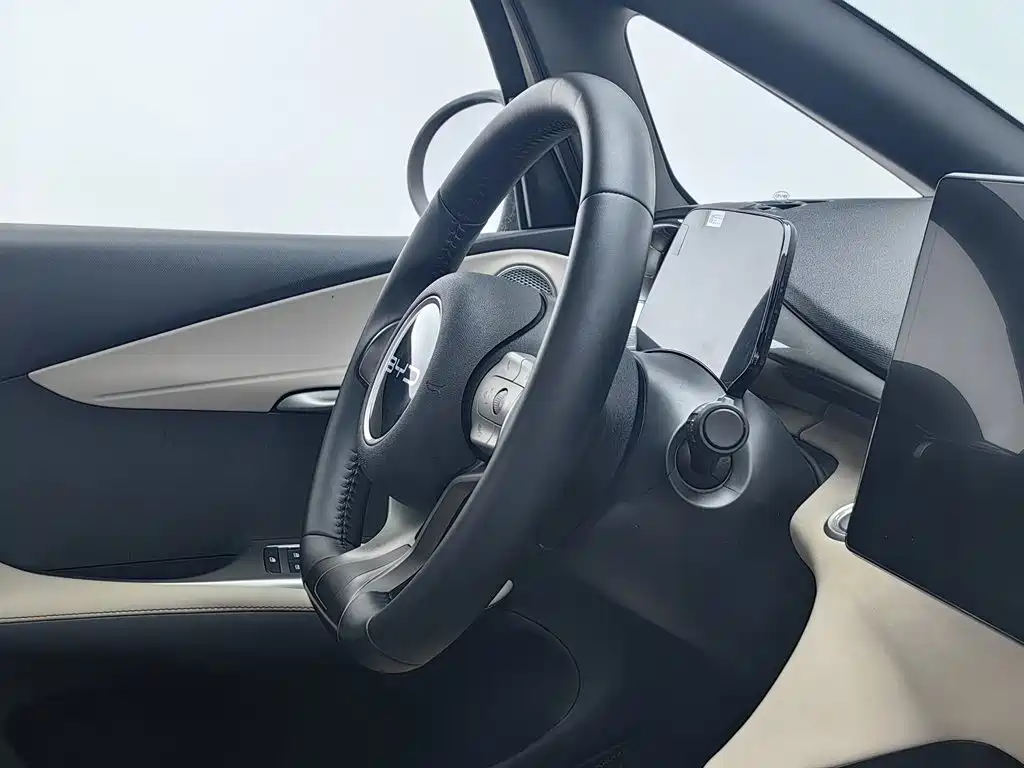 BYD Dolphin — миниатюра 22