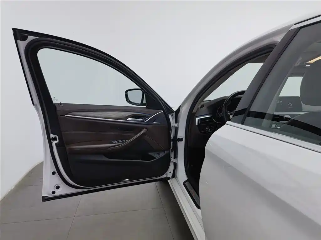 BMW 5 Series 5 2020 530Li Lead Luxury