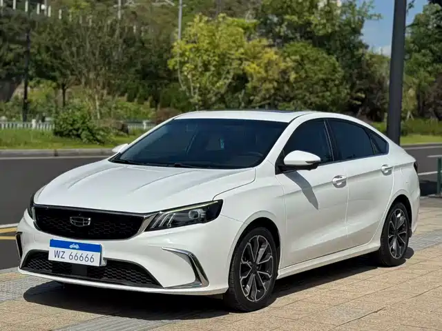 2021 Geely Binrui