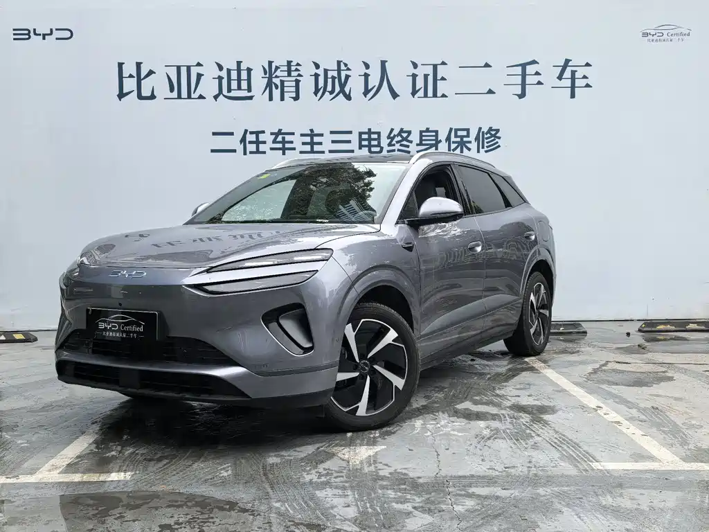 Byd 海狮06 2025
