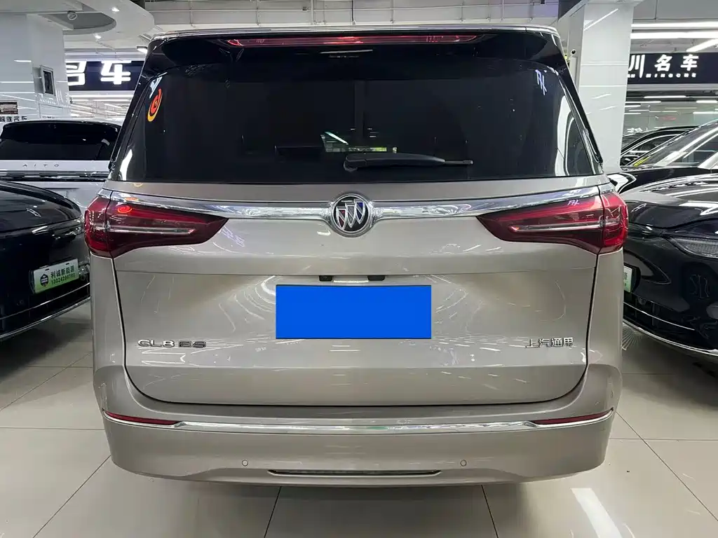 Buick GL8 — миниатюра 6