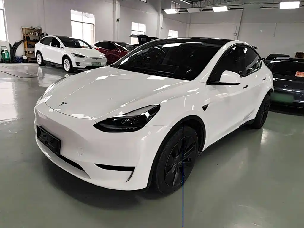Tesla Model Y — миниатюра 2