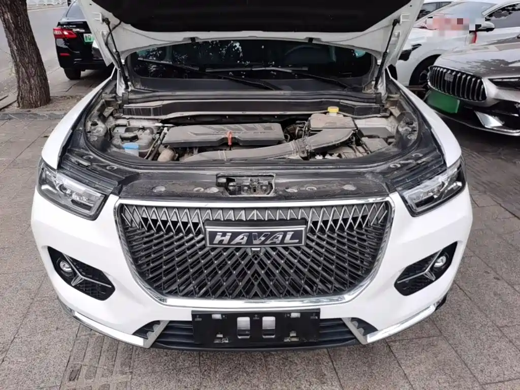 Haval H6 — миниатюра 20