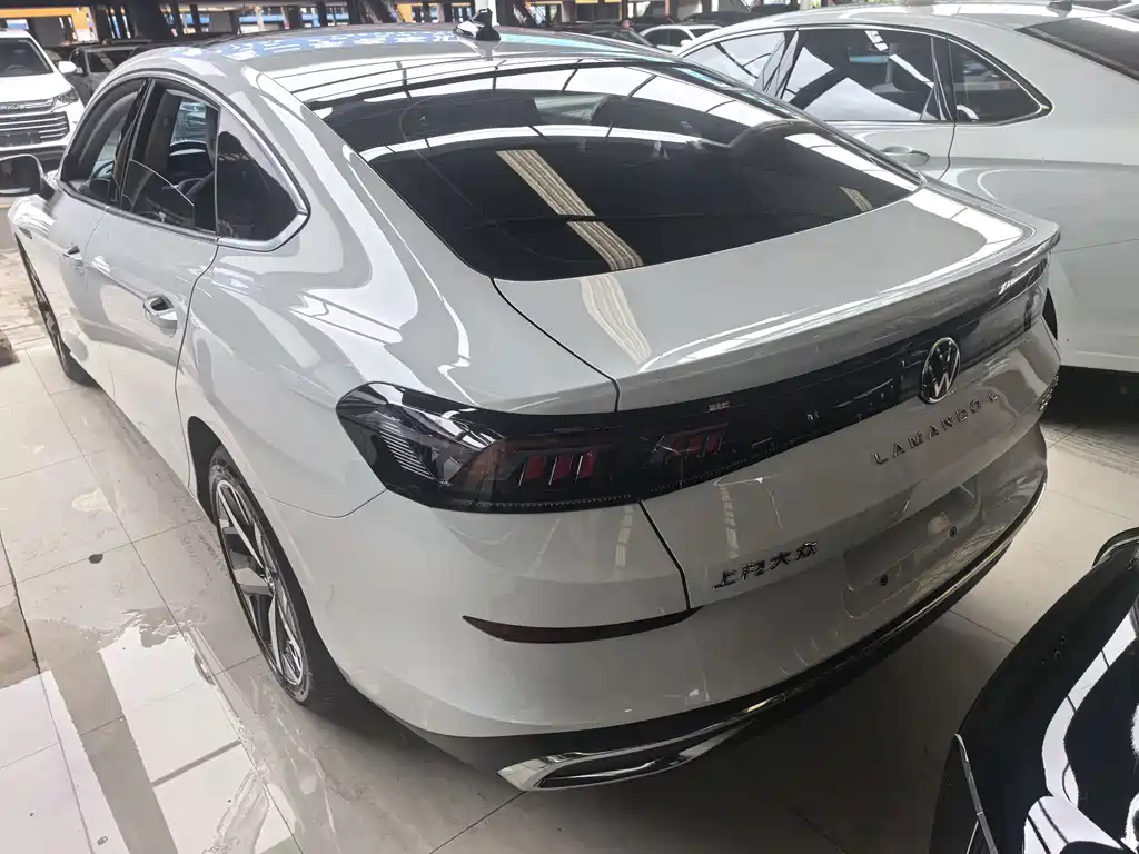 Volkswagen Lamando — миниатюра 5
