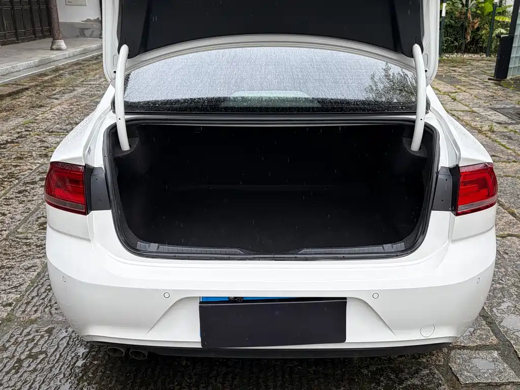 Volkswagen Lamando — миниатюра 9