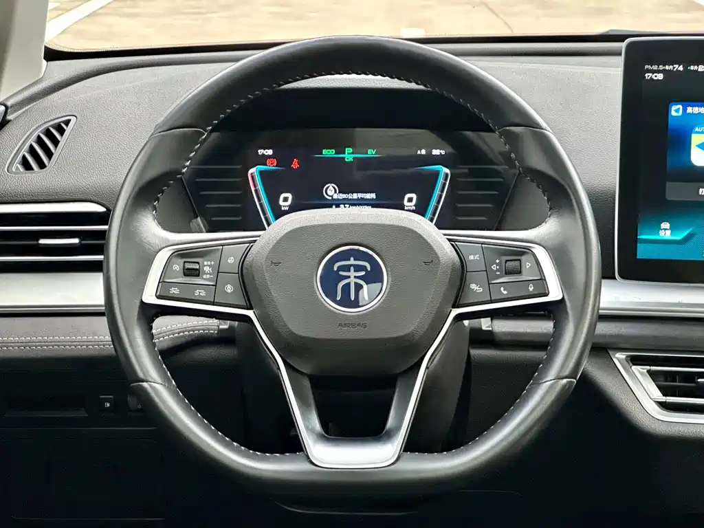 BYD Pro New Energy — миниатюра 12