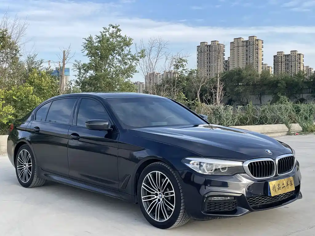 BMW 5 Series 5 2019 530Li Lead M Sport