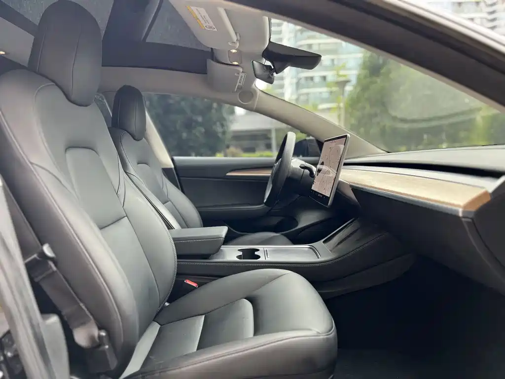 Tesla Model 3 — миниатюра 11