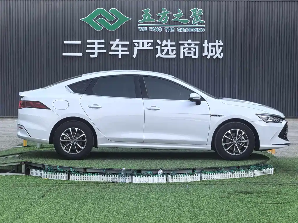 BYD Qin Plus PLUS 2024 DM-i 55KM Lead
