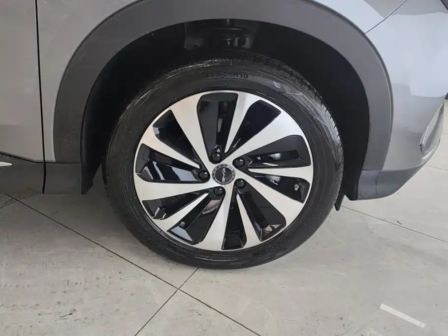 BYD PLUS New Energy — миниатюра 6