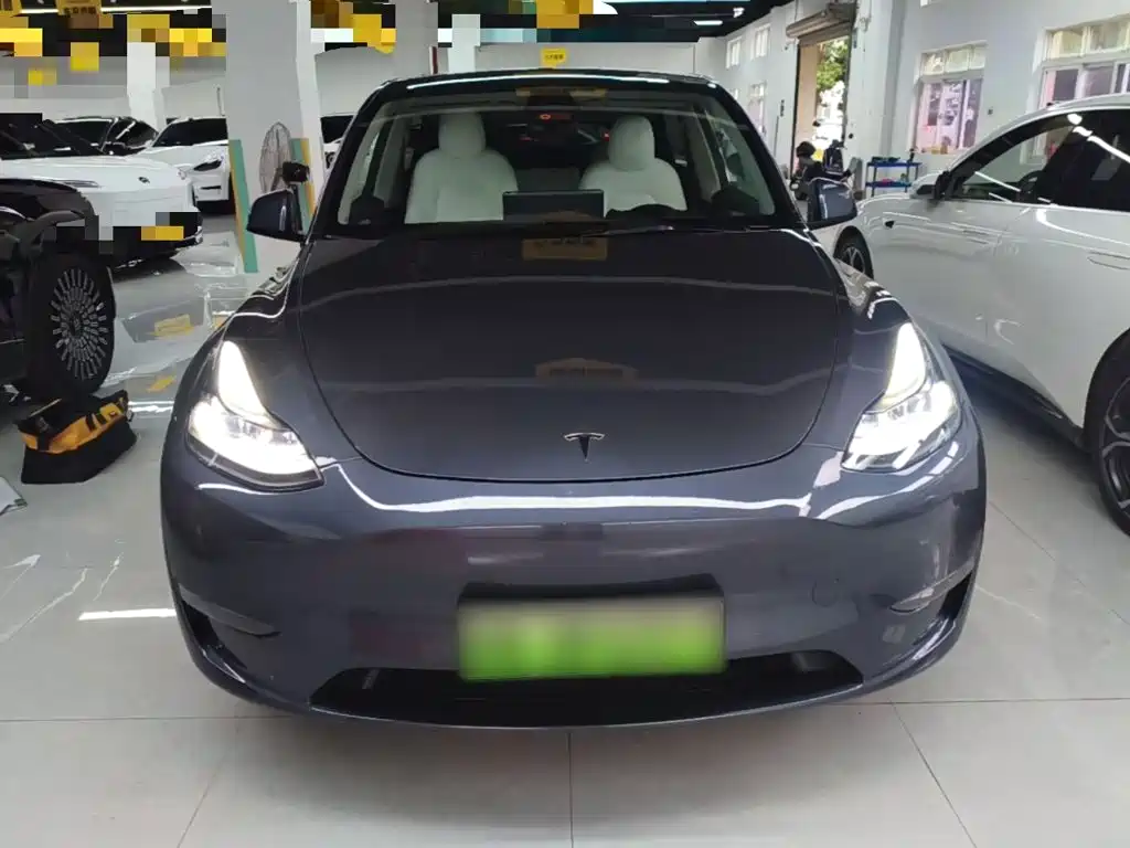 Tesla Model Y — миниатюра 3