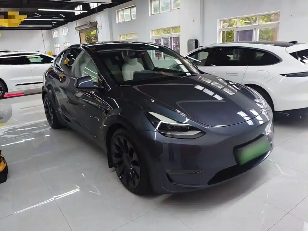Tesla Model Y — миниатюра 4