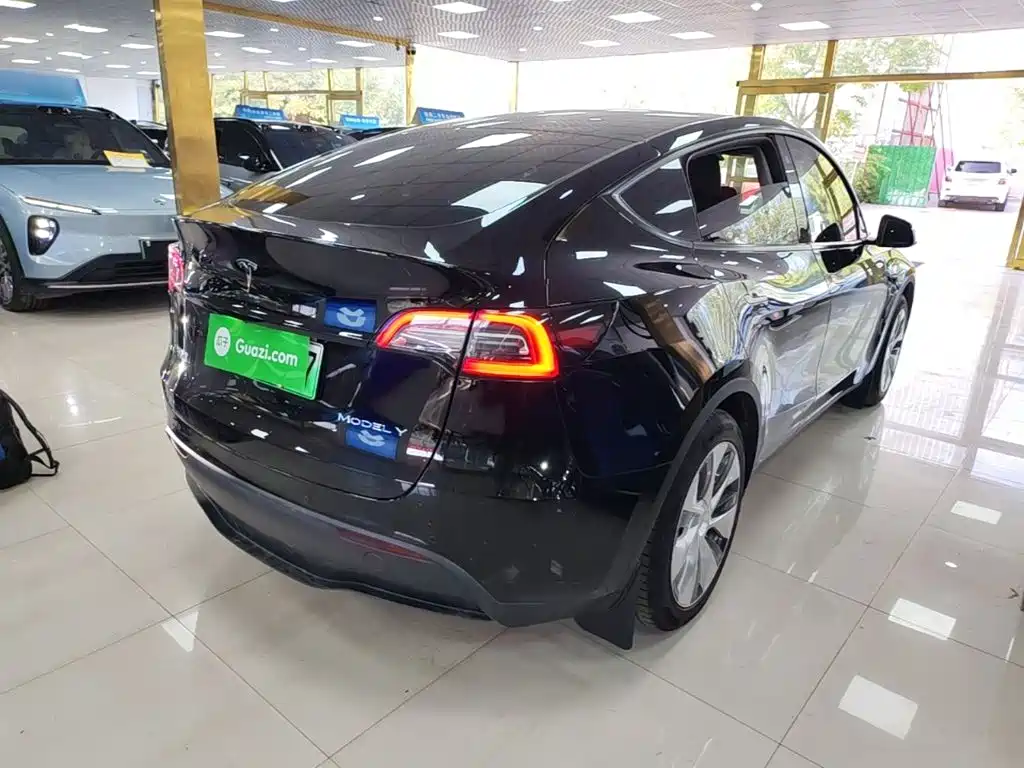 Tesla Model Y — миниатюра 7