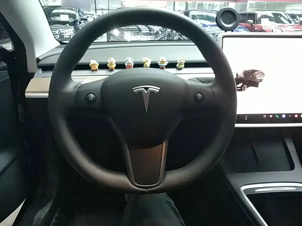 Tesla Model 3 — миниатюра 11