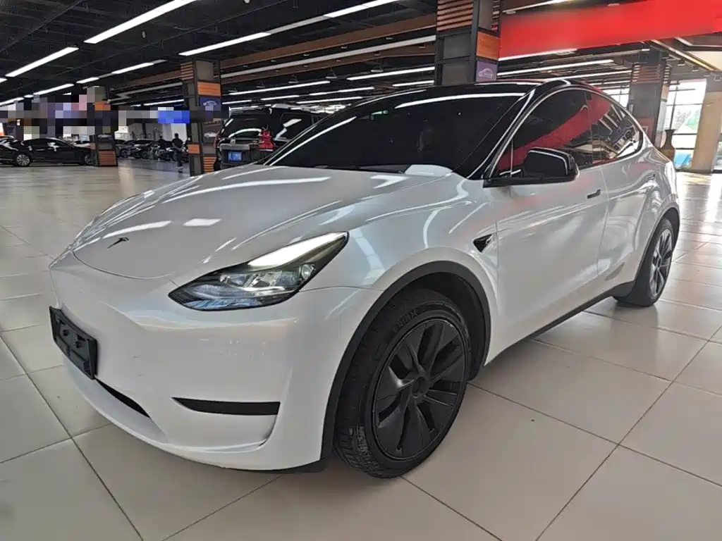Tesla Model Y — миниатюра 2