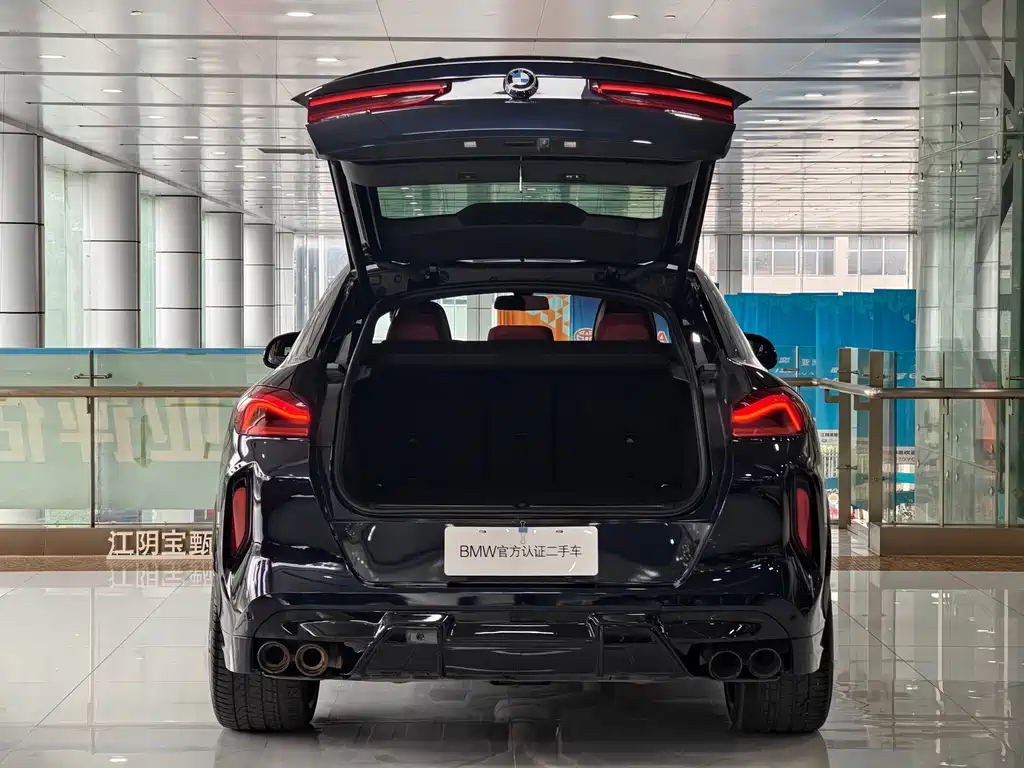 BMW X6 — миниатюра 7