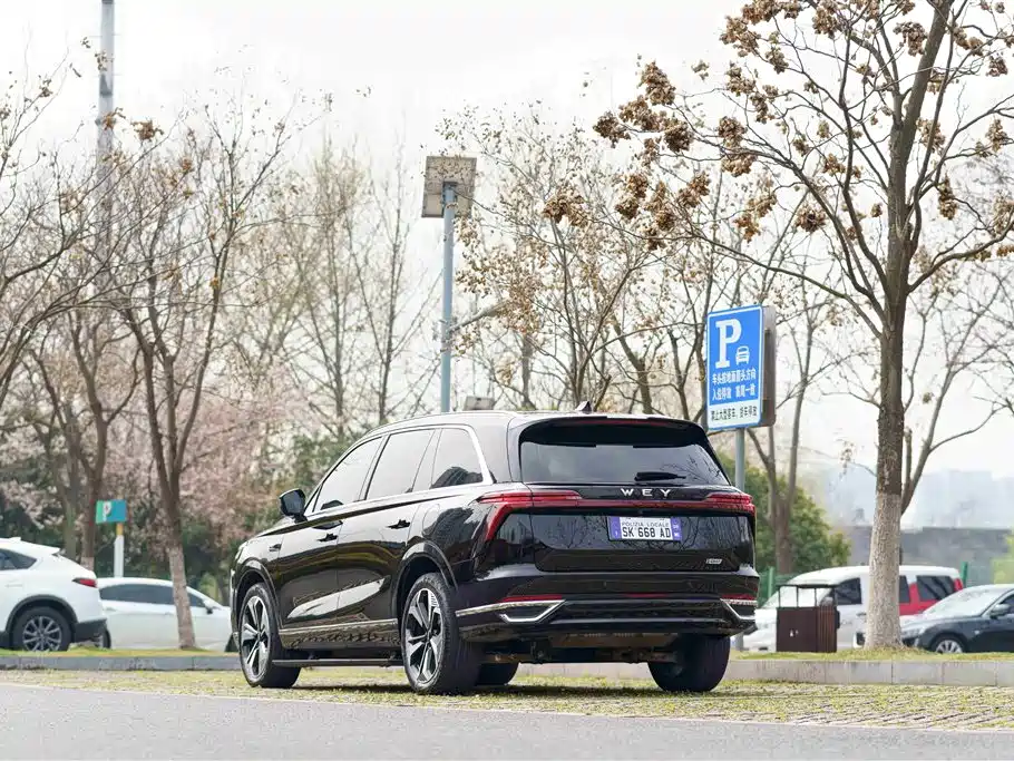 WEI PAI WEI BRAND BLUE MOUNTAIN