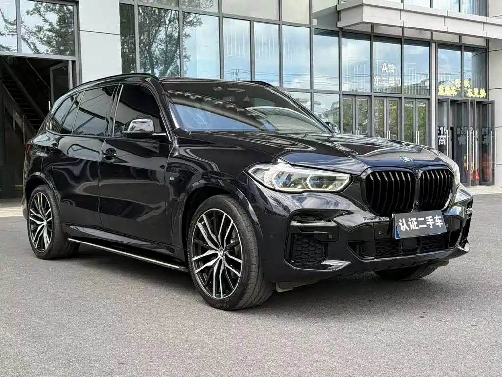BMW X5 — миниатюра 2