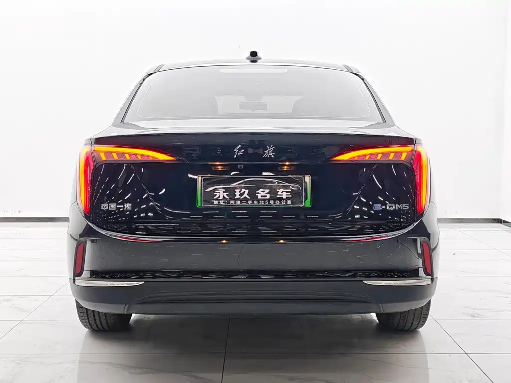 Hongqi HONGQI E QM5
