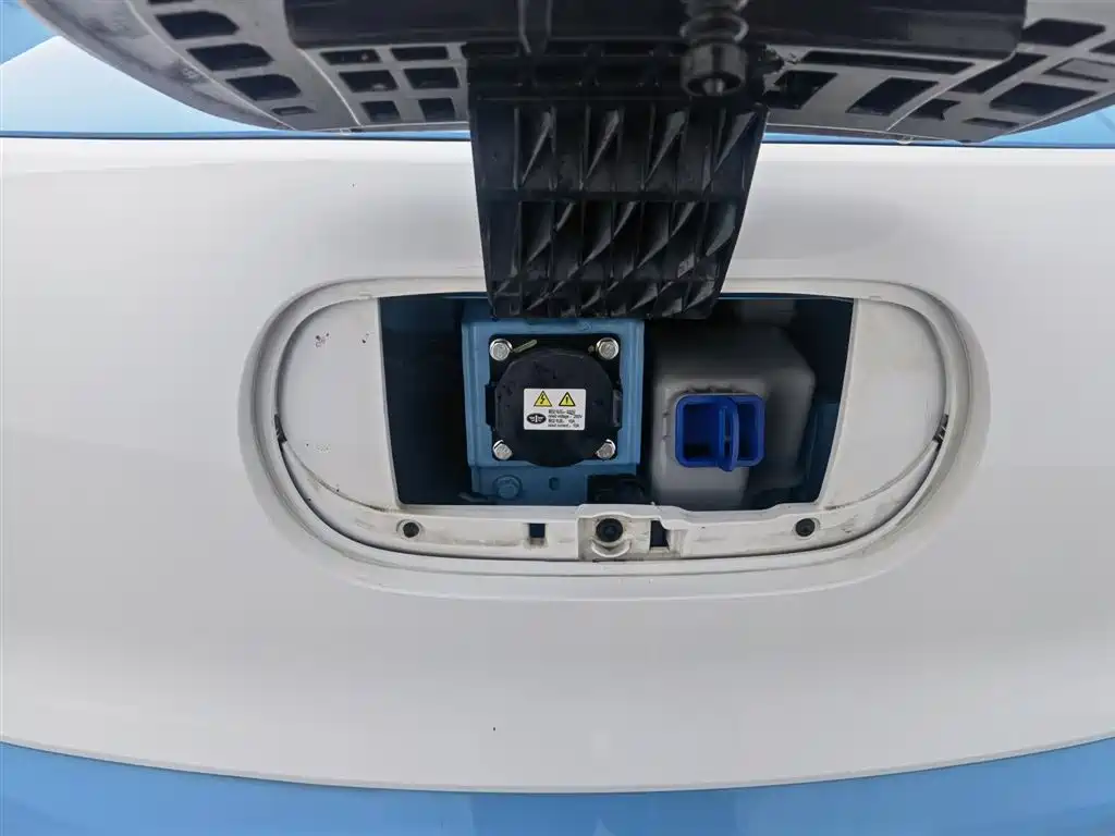 BESTUNE PENTIUM PONY