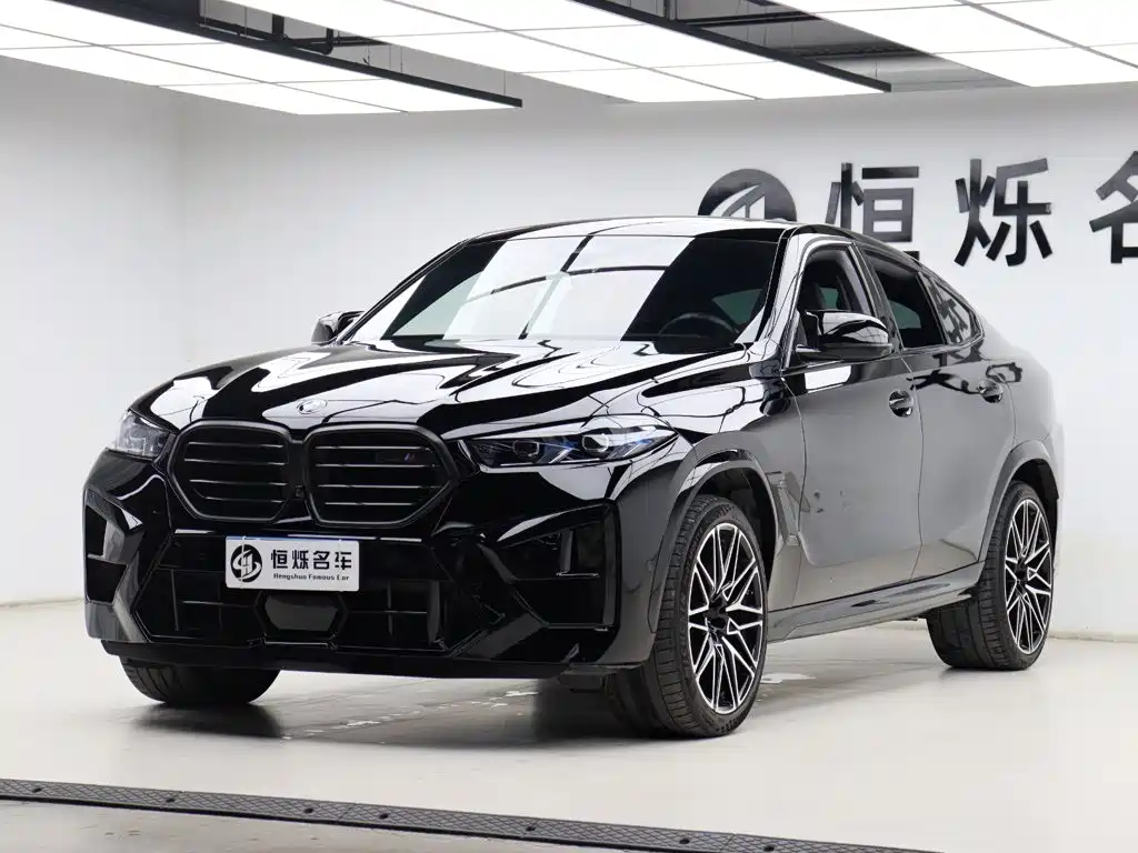 BMW X6 M — миниатюра 33