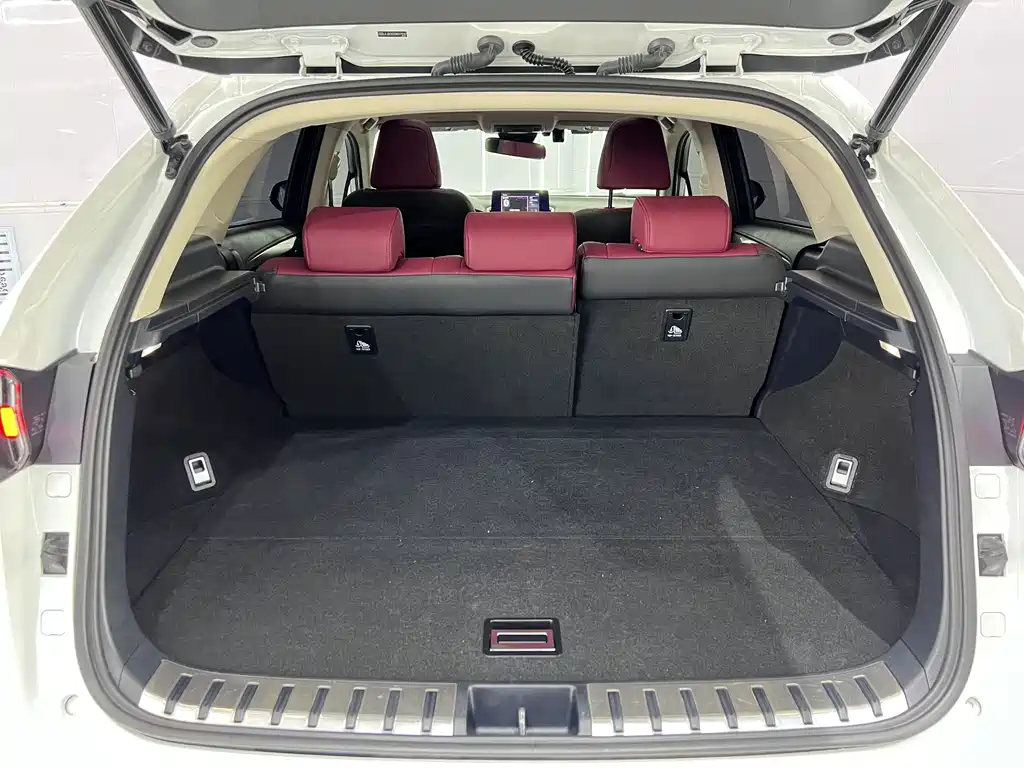 Lexus NX — миниатюра 17
