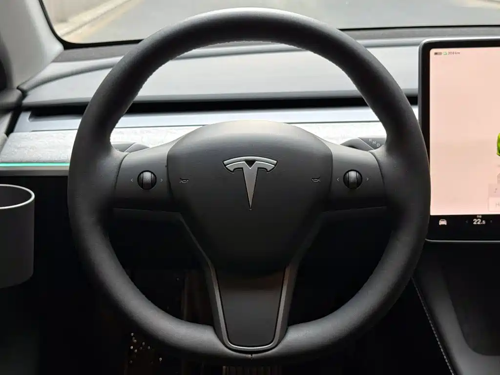 Tesla Model Y — миниатюра 12